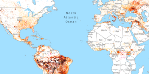 Map welcome thumbnail - Explore recent deforestation and fire alerts