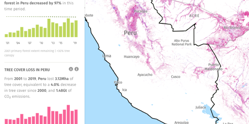 Map welcome thumbnail - Analyze historical trends in tree cover loss and gain since 2000