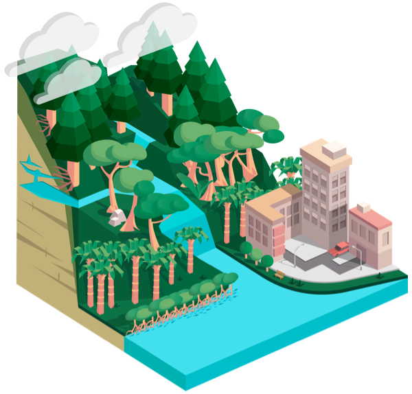 Watershed Health Effects Of Deforestation Climate Change GFW